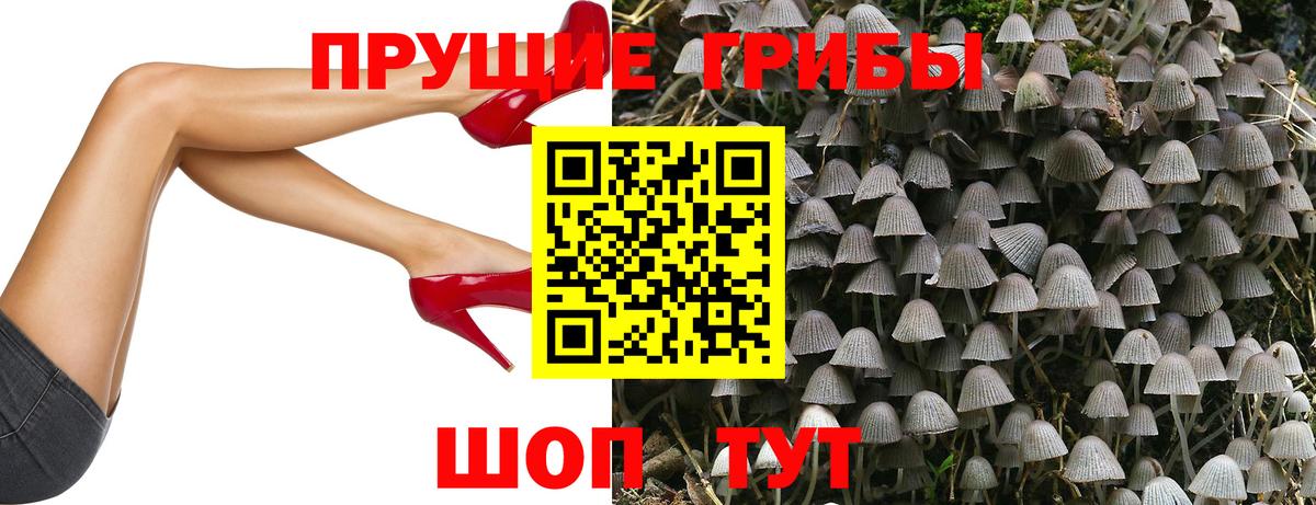 Волгоград  Галлюциногенные грибы Magic Shrooms  Вход с VPN 