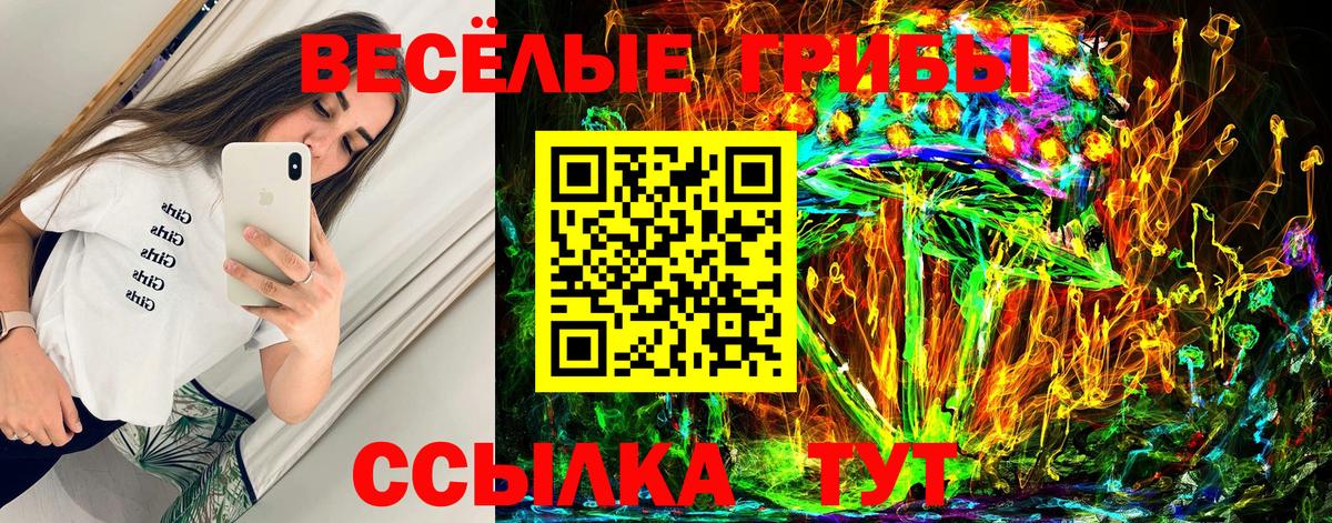 Галлюциногенные грибы Psilocybine cubensis Волгоград